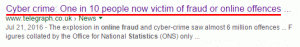 one in 10 people now victim of fraud online