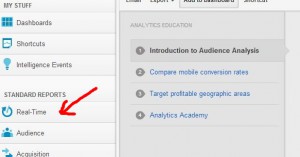 Google Analytics Real Time Option