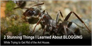 2 things I learned about blogging while trying to get rid of the and house