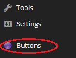 A new button is added to the WordPress main menu