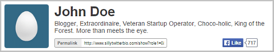 This is an example of Twitter bio by the Silly Generator