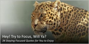 34 staying focused quotes for you to enjoy