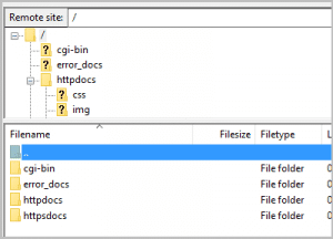 Remote Files in FTP Client
