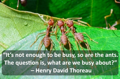“It’s not enough to be busy, so are the ants. The question is, what are we busy about?” – Henry David Thoreau