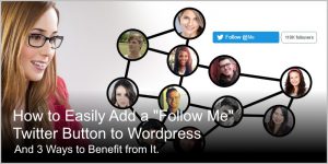how to easily add Twitter follow button to WordPress and 3 ways to benefit from it