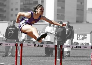 goal setting quotes success