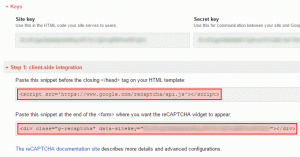 Google reCAPTHCA keys and scripts