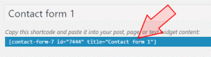 Copy and paste the shortcode into your contact page