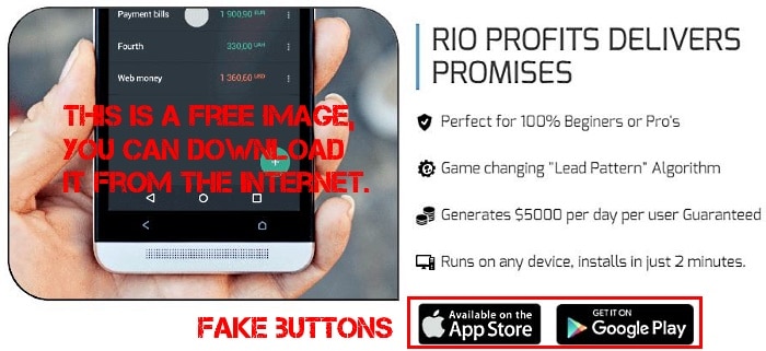 There's no such thing as a Rio Profits App in Google Store.