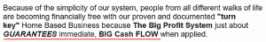Is the Big Profit System a scam guaranteed cash flow