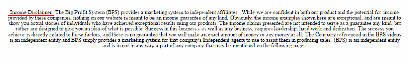 The Big Profit System Risk Disclaimer is one paragraph long