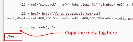 Copy the meta tag to the header.php
