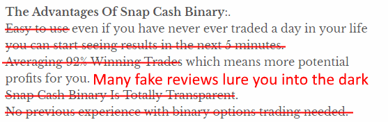 dangerous fake review about snapcash binary app