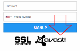 SSL protected, avast protected