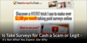 What is the Take Surveys for Cash about my review